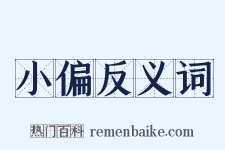 小偏反义词是什么意思的图片